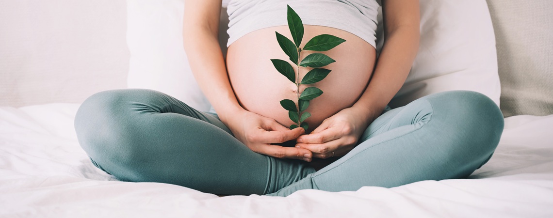 Babybauch mit grünem Zweig Babybauch mit grünem Zweig